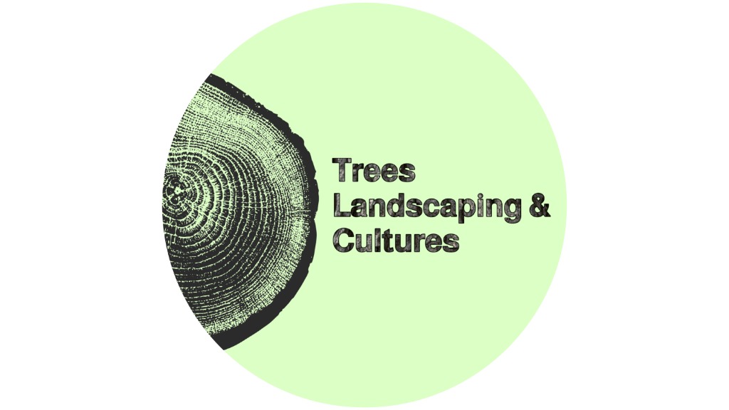 TLC Logo